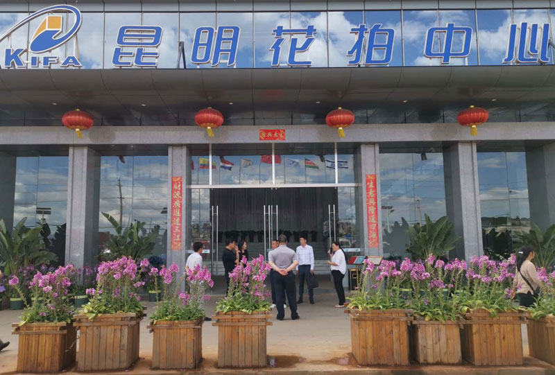 雷波率队到昆明花拍中心考察花卉产业发展及开展招商引资工作