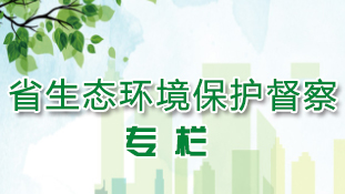 省生态环境保护督察专栏